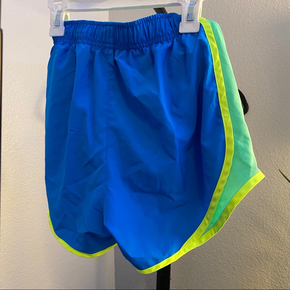 NIKE blue and green shorts